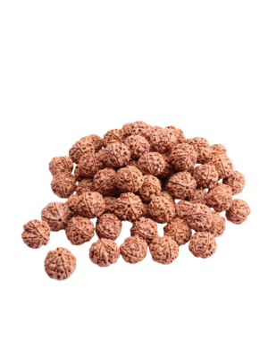 Rudraksha Beads