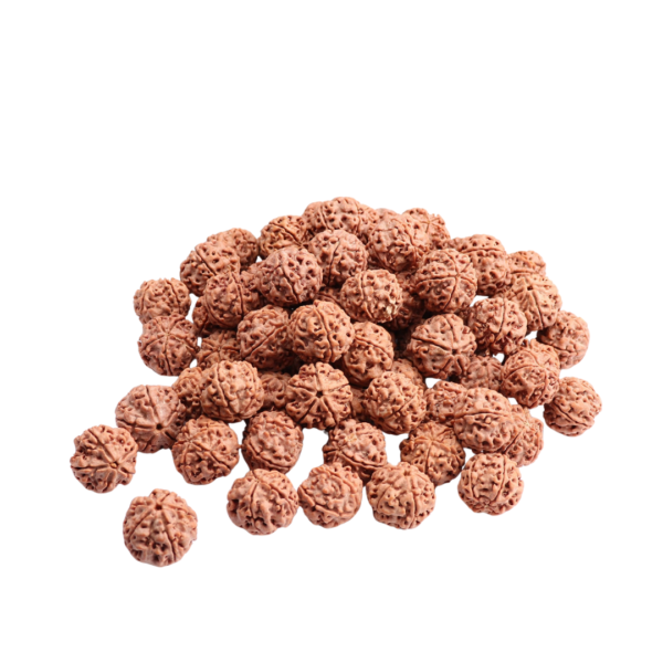 Rudraksha Beads