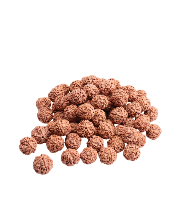 Rudraksha Beads